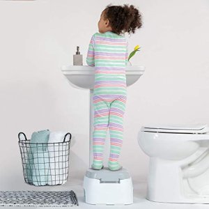Potty Chair