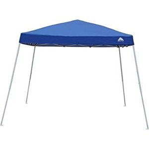 Canopy (For Sale/Not a Rental)