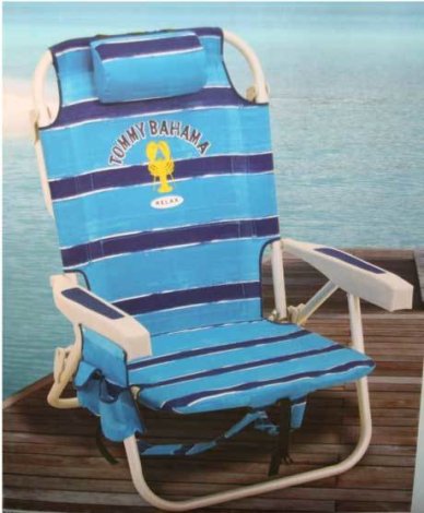 Adult Beach Chair