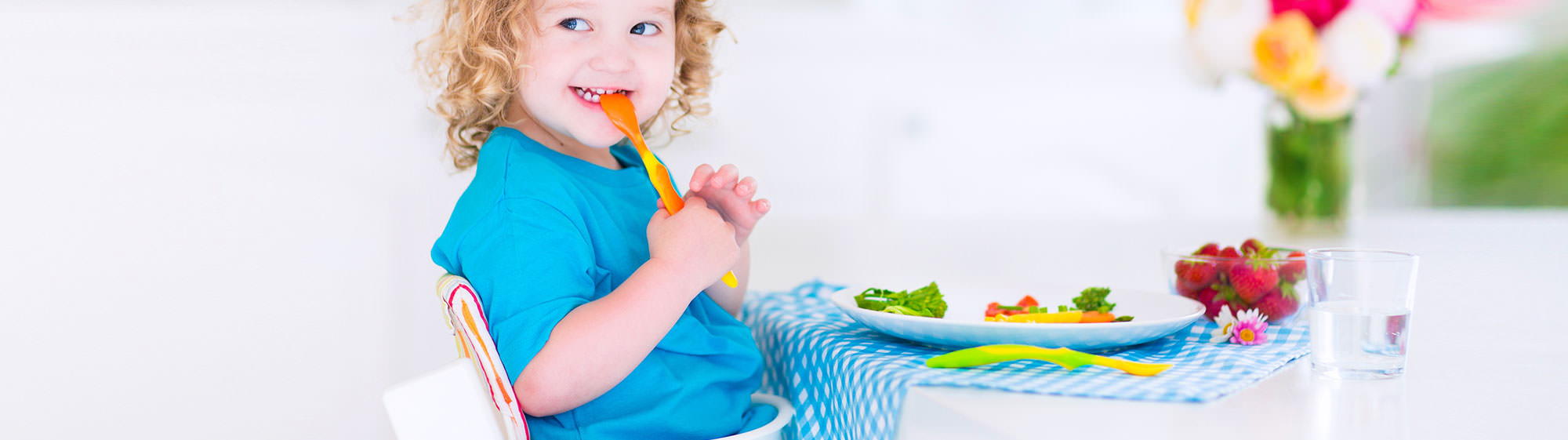 high chair and booster seat rentals 